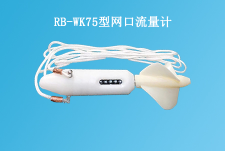 RB-WK75型網口流量計